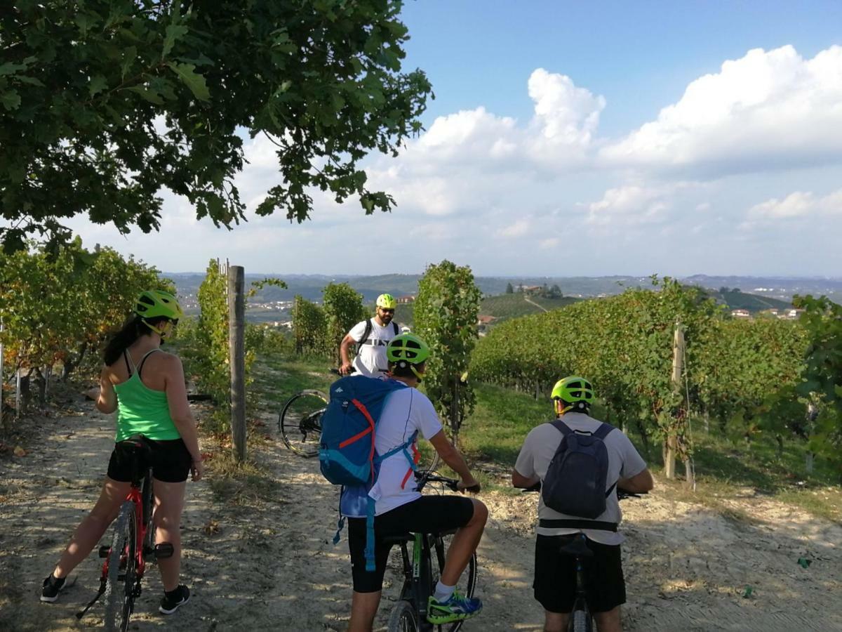 - Sweet Langhe - 51 Alba (Piedmont)