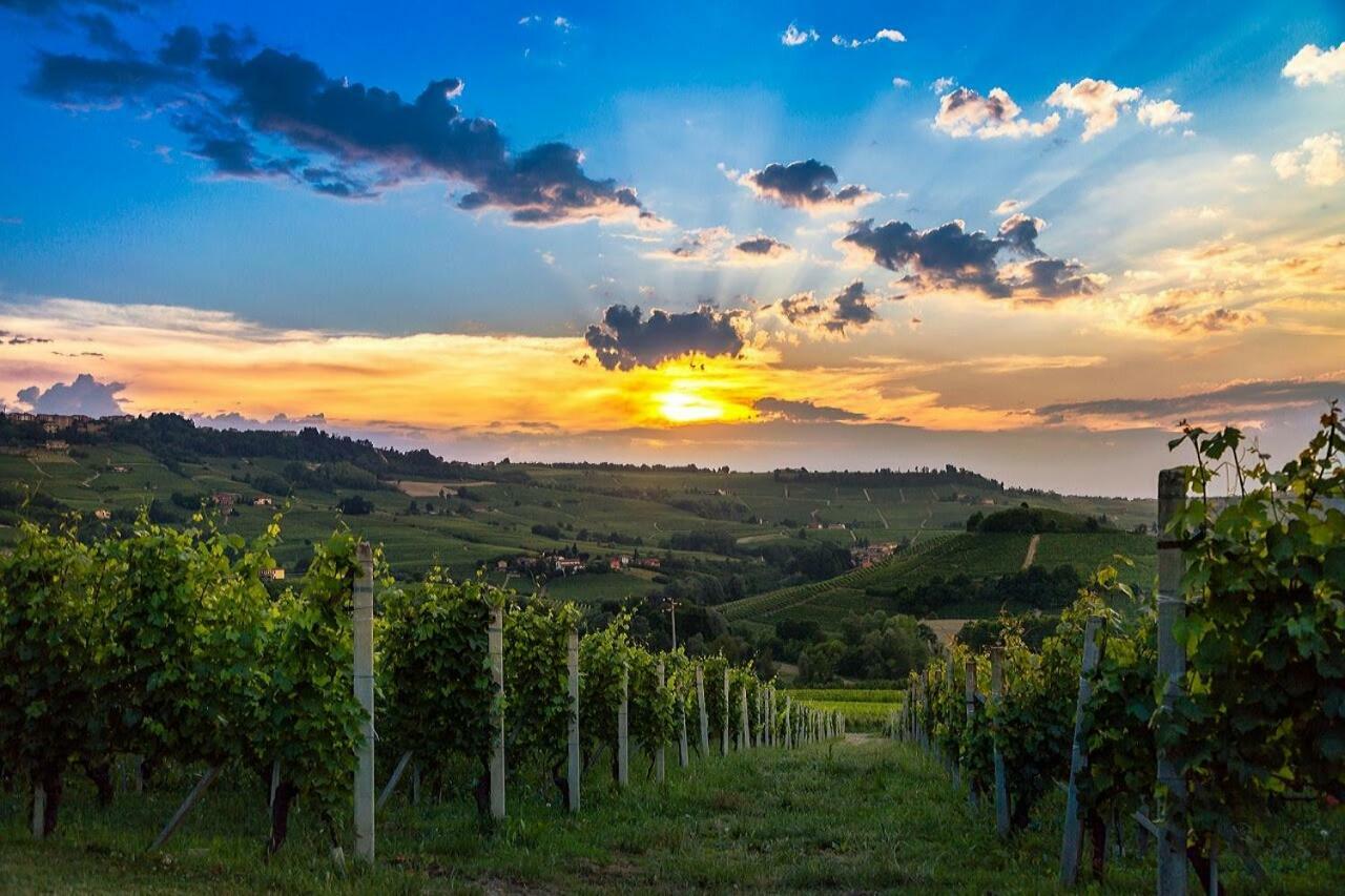 - Sweet Langhe - 51 *